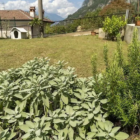 Apartment Mamma Ciccia Holiday - Garden E Lake Lierna